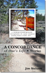 A Concordance of One's Life by Jim Nelson