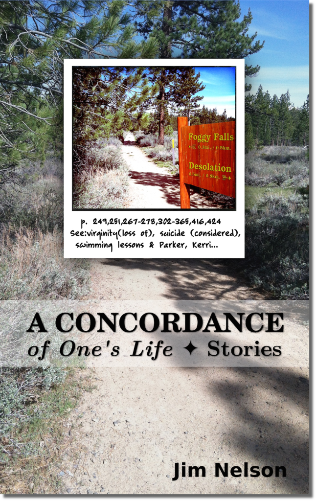 A Concordance of One's Life by Jim Nelson