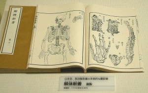 Japan's first treatise on anatomy, copied from Western sources in 1774. (Wikipedia)